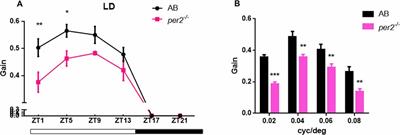 Zebrafish Lacking Circadian Gene per2 Exhibit Visual Function Deficiency